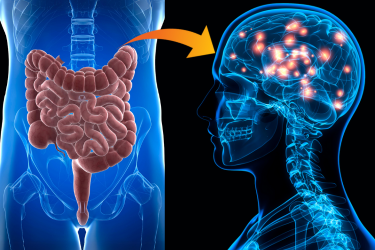 Gut Health Linked to Parkinson’s: A Silent Signal We May Have Been Missing