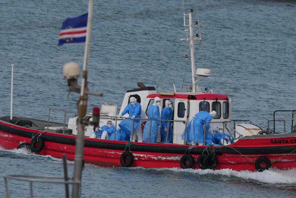 Global Health Alert: WHO Investigates Rare Andes Hantavirus Outbreak After Cruise Ship Deaths
