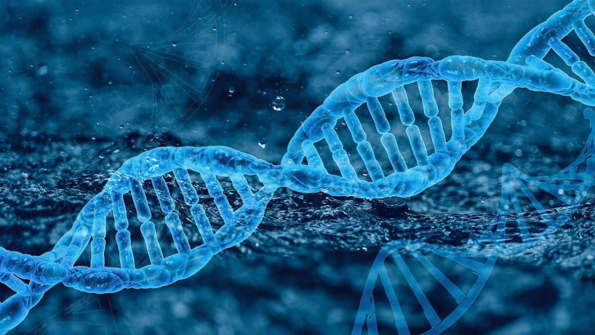 Scientists Successfully Transfer "Longevity Gene" to Extend Lifespan in Landmark Study
