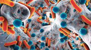 Breakthrough Study Reveals Alarming Rise in Antibiotic-Resistant Superbugs Across Hospitals