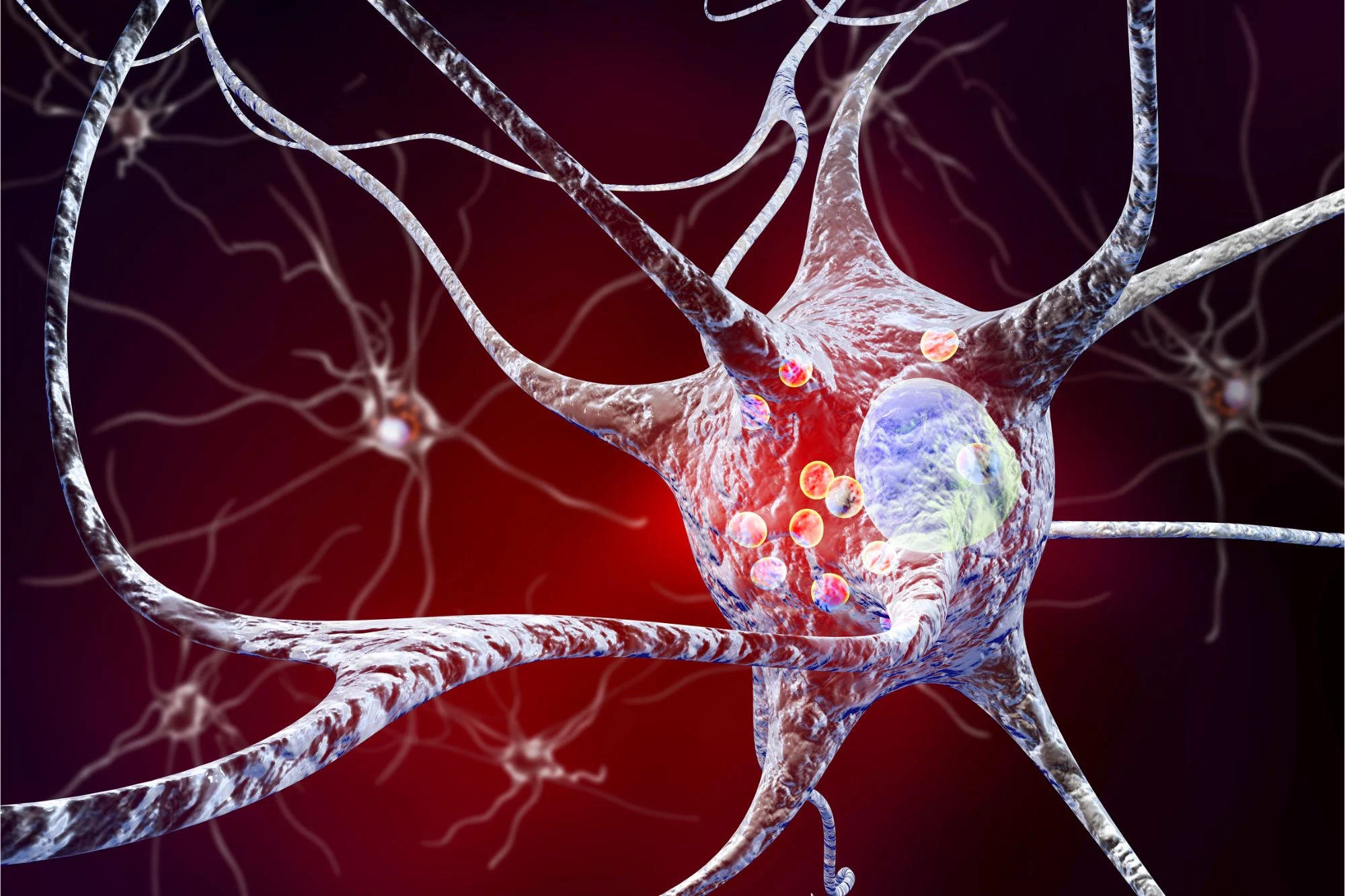 Breakthrough Discovery: Brain-Body Link Sheds Light on Parkinson’s and Alcohol Use Disorder