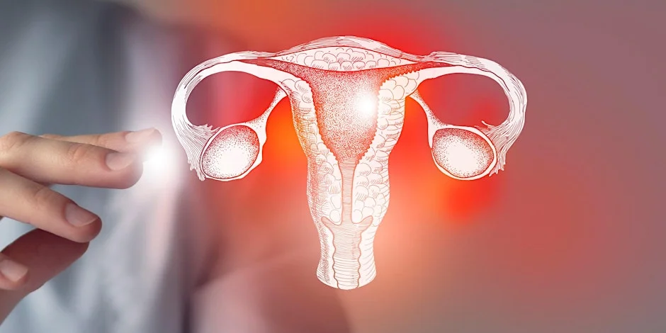 Breakthrough Discovery: Common Cholesterol Drug May Strip Ovarian Cancer’s Protective Shield