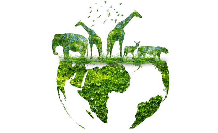 Environmental DNA: The Invisible Genetic Footprint Reshaping Ecological and Medical Surveillance