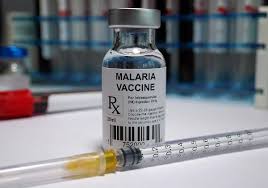 WHO Confirms RTS,S Malaria Vaccine Averts One in Eight Child Deaths in Sub-Saharan Africa