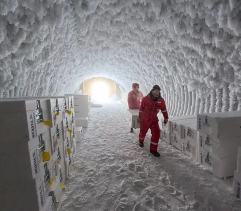 Antarctic Ice Core Unlocks 1.5-Million-Year Climate Record, Offering Clues to Earth’s Most Extreme Ice Ages
