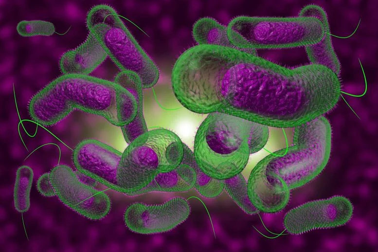 Cholera’s Hidden Evolutionary Battle: How Bacteria and Viruses Shape Disease Outcomes
