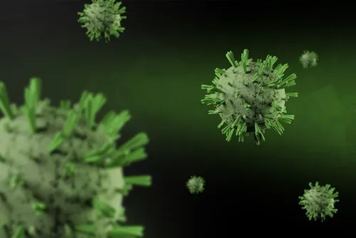 Hantavirus Resurgence: Experts Walk Tightrope Between Awareness and Alarm