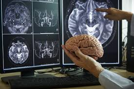 New Study: Words That Visually Mirror Their Meaning Are Processed Faster by the Brain