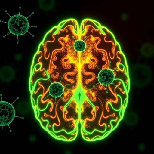 Breakthrough in Stroke Recovery: Targeting Microglial Dysfunction to Restore Brain Repair