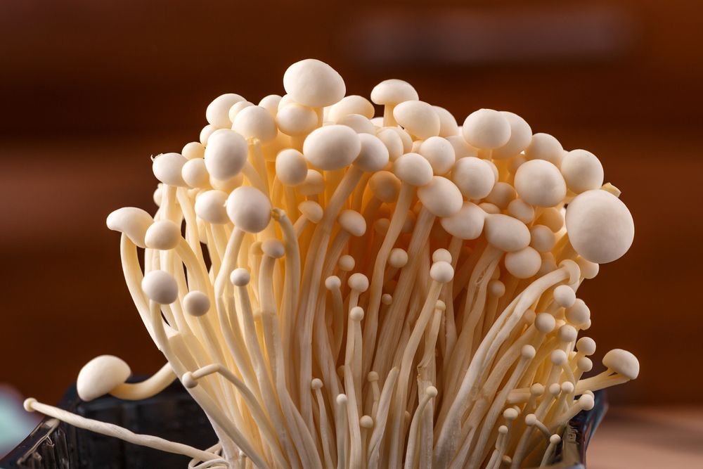 Urgent Recall: Enoki Mushrooms Linked to Listeria Contamination Risk