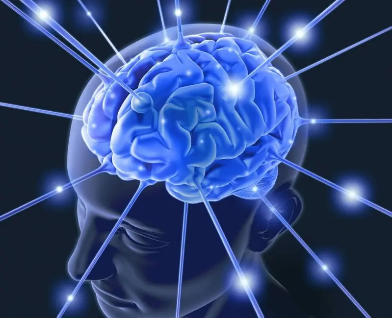 Breakthrough Study Reveals How Your Immune System Is Stealing Your Memory — And How to Stop It