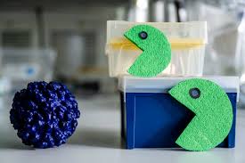 CRISPR Breakthrough: Scientists Silence Hepatitis E Virus in Groundbreaking Study