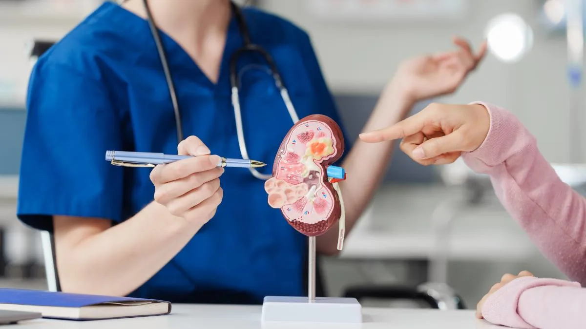 New Onset Atrial Fibrillation Linked to Accelerated Kidney Function Decline, Study Finds