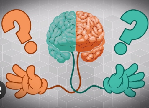 The Right-Handed Majority: How Evolution Shaped Human Biology and What It Reveals About Our Health