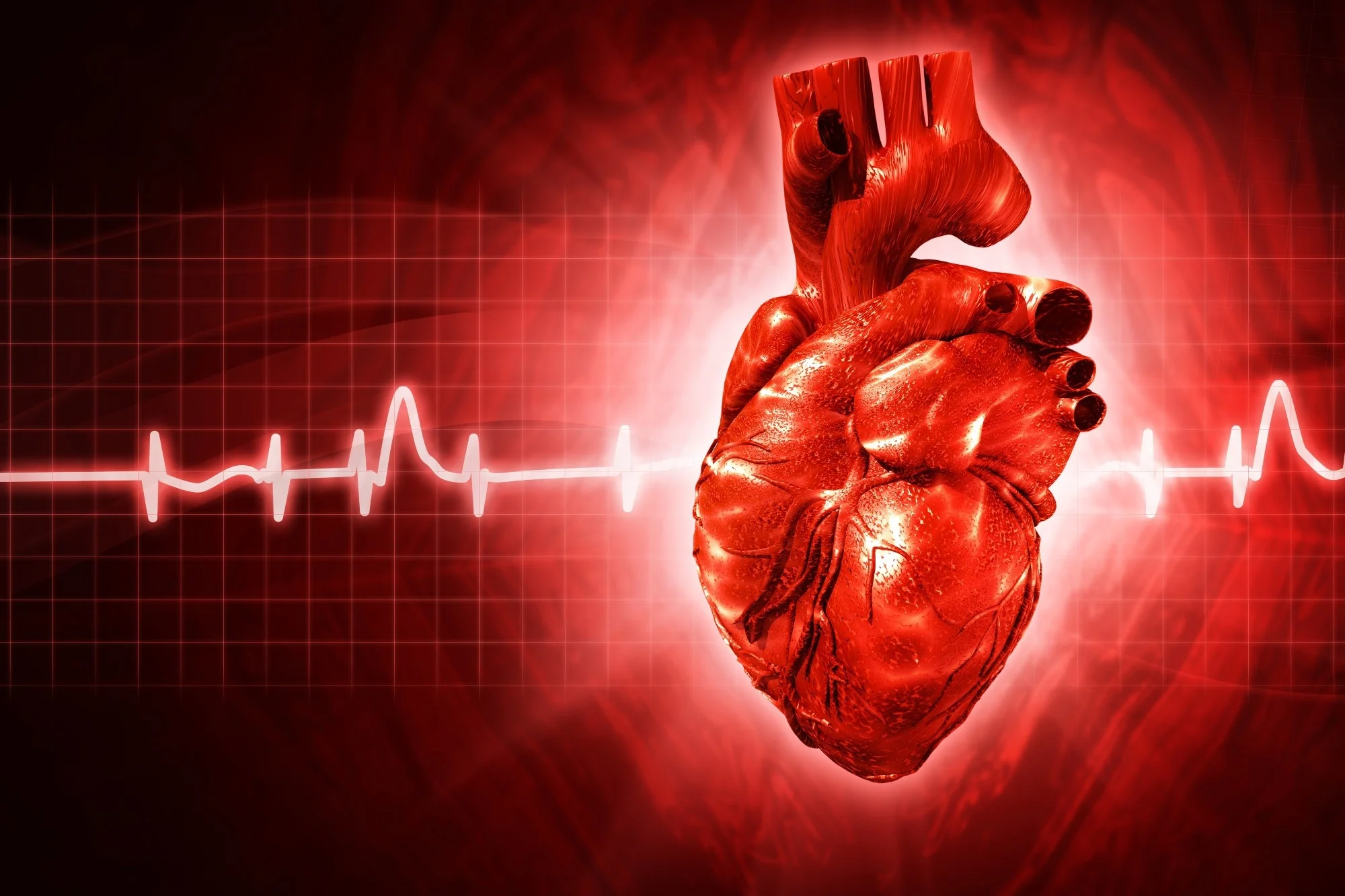 Europe’s Heart Health Divide: How Inequality Fuels a Preventable Crisis in Cardiovascular Disease