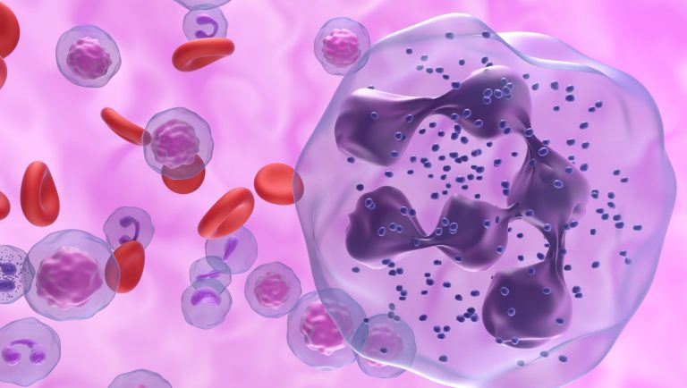 Immune Cells Produce Schizophrenia Linked Protein, Stanford Study Reveals