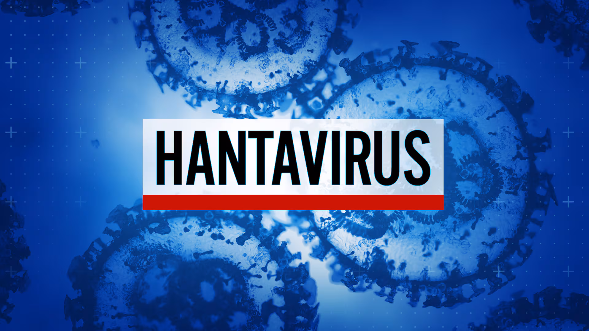 Hantavirus Cases Rise: Health Authorities Urge Vigilance Without Alarm as Zoonotic Threat Grows