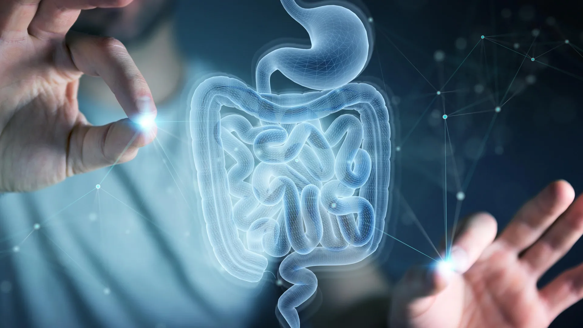 Breakthrough discovery: Amino acid cysteine found to accelerate gut healing after radiation therapy