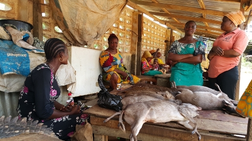 Nigerian Physicians Urge Caution on Bushmeat as Ebola Resurfaces in Africa