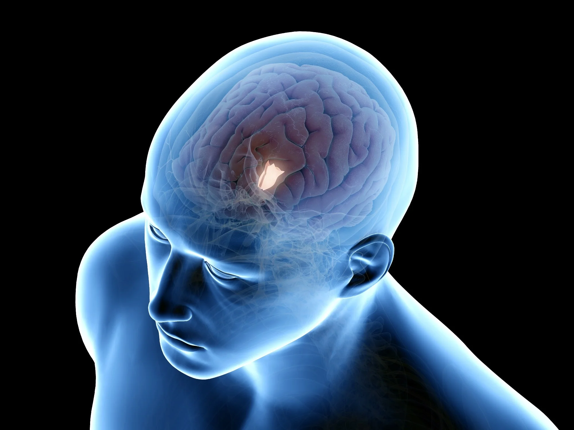 Breakthrough in Aging Research: Brain Protein Menin Linked to Cognitive and Physical Decline