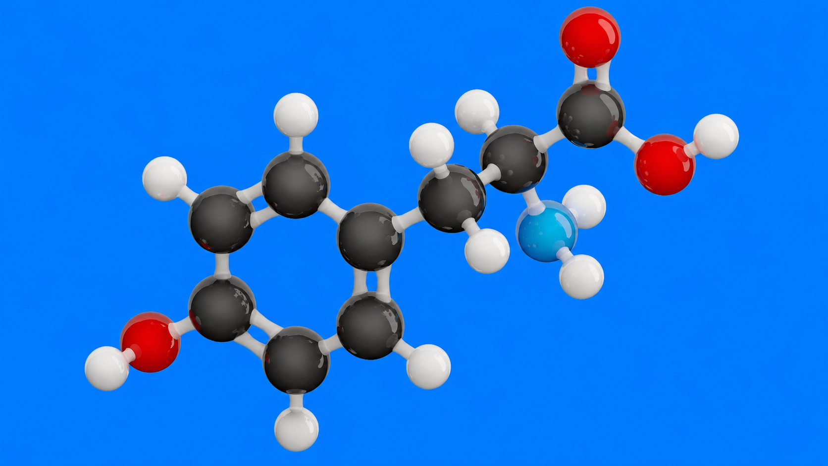 High Tyrosine Levels Linked to Reduced Lifespan in Men, Study Finds