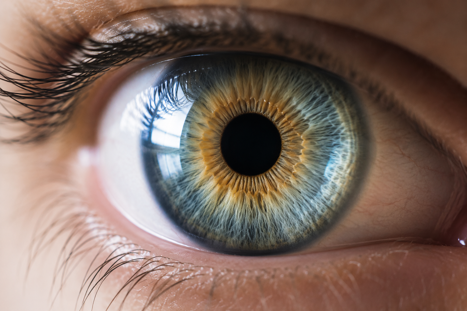 Breakthrough Imaging Reveals How Human Cone Opsins Enable Ultra Fast Daylight Vision