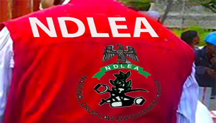 Nigeria’s Drug Enforcement Agency Cracks Down on Illicit Substance Trade: 29,000 Arrests in 18 Months